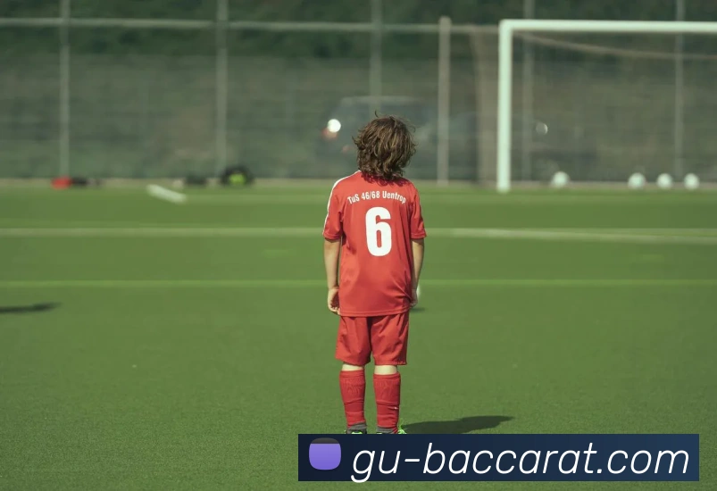 百家乐官网服务体系